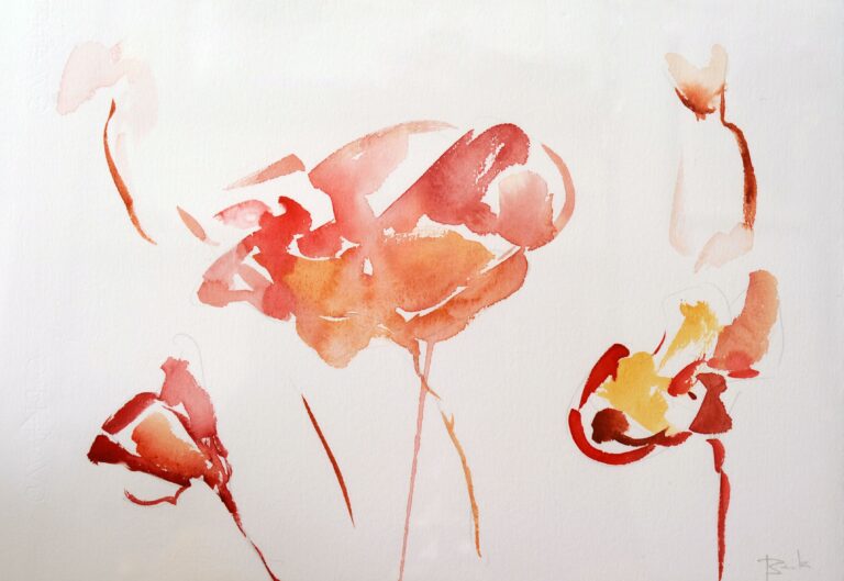AMAPOLAS LIGERAS