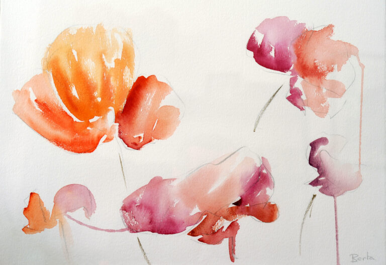 AMAPOLAS NARANJA Y PÚRPURA