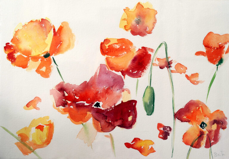 AMAPOLAS REVOLTOSAS