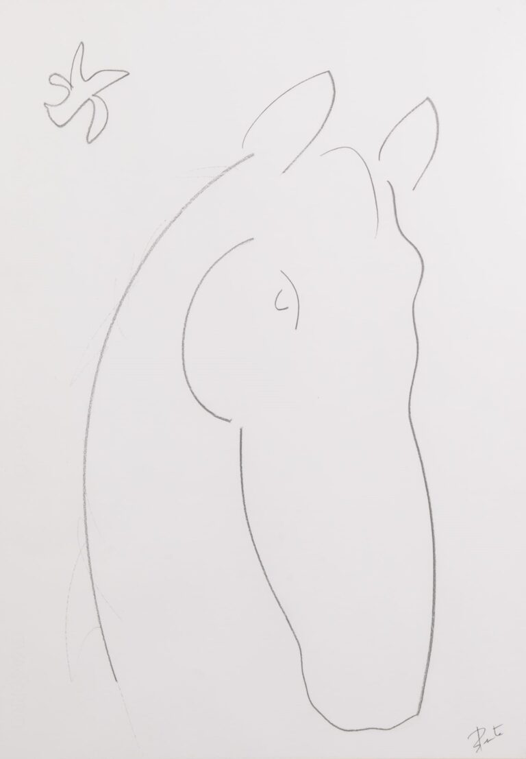 CABALLO 1
