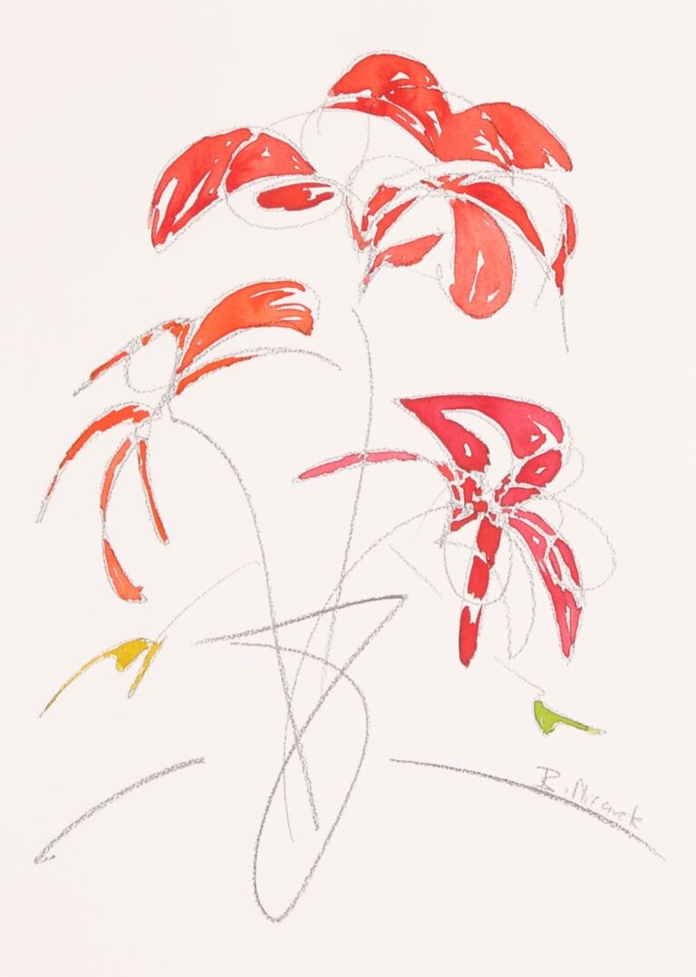 PÉTALOS ROSAS