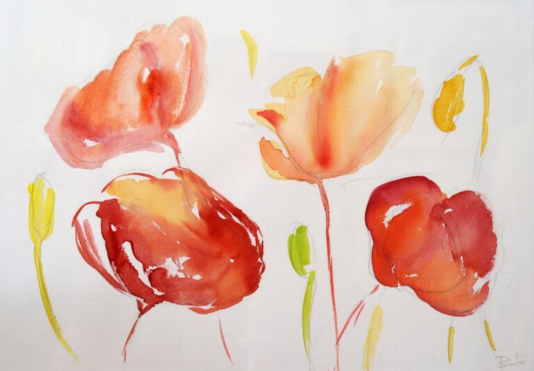 AMAPOLAS PREFERIDAS